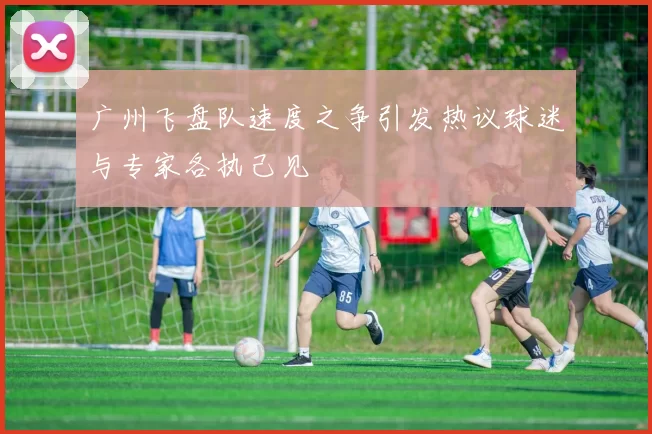 广州飞盘队速度之争引发热议球迷与专家各执己见