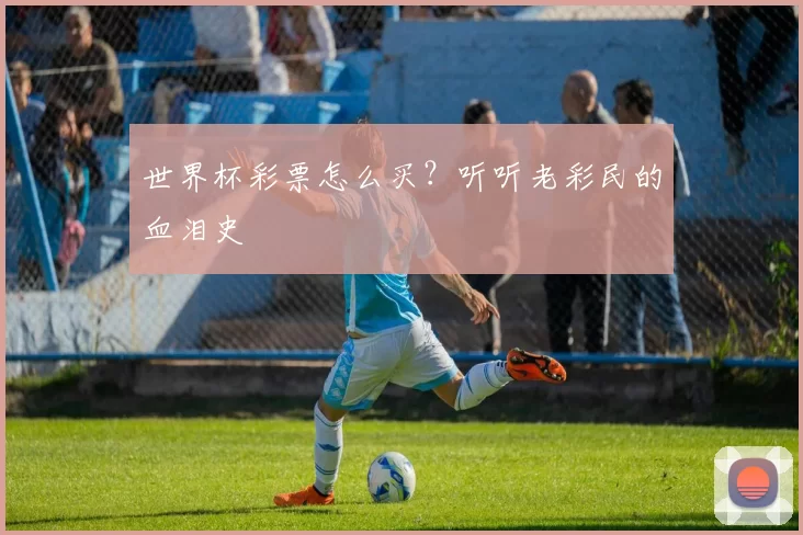 世界杯彩票怎么买？听听老彩民的血泪史