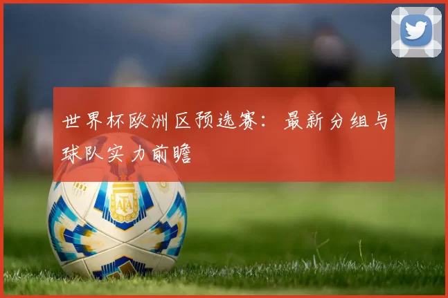 世界杯欧洲区预选赛：最新分组与球队实力前瞻