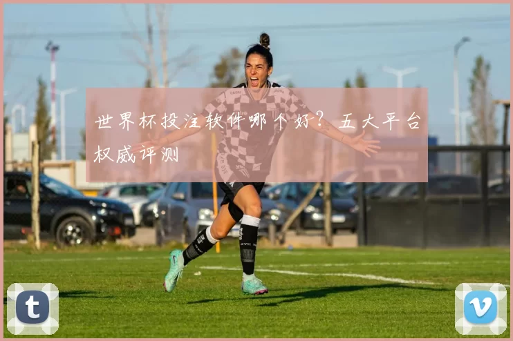世界杯投注软件哪个好？五大平台权威评测