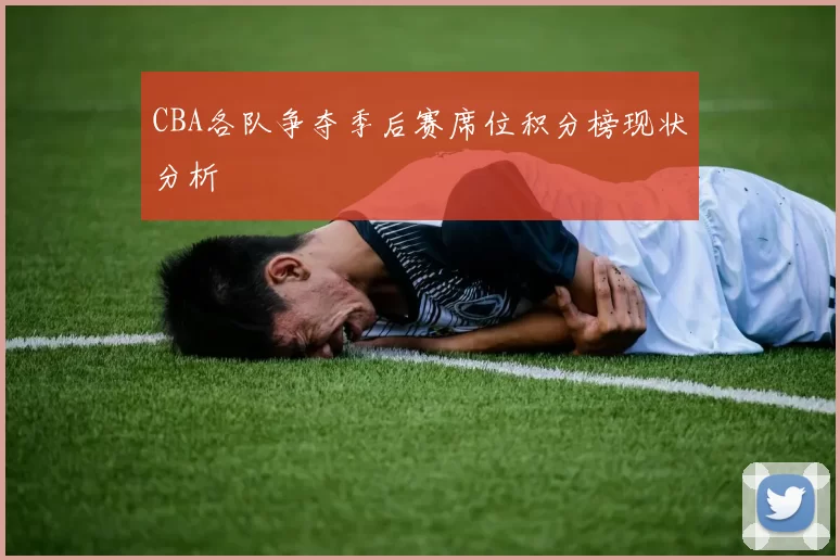 CBA各队争夺季后赛席位积分榜现状分析