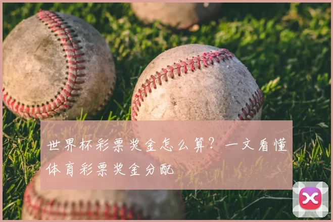 世界杯彩票奖金怎么算？一文看懂体育彩票奖金分配