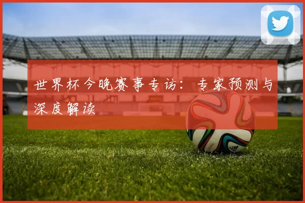 世界杯今晚赛事专访：专家预测与深度解读