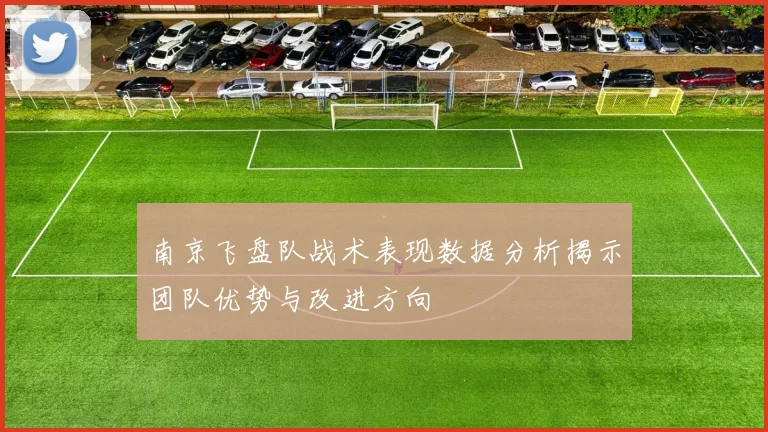 南京飞盘队战术表现数据分析揭示团队优势与改进方向
