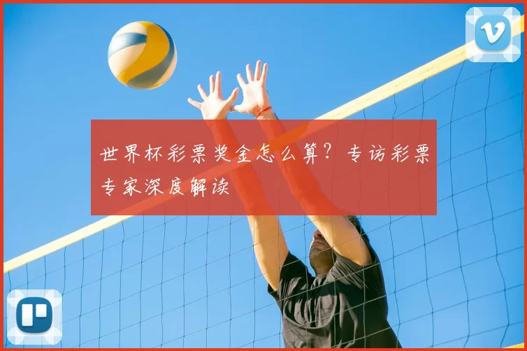 世界杯彩票奖金怎么算？专访彩票专家深度解读