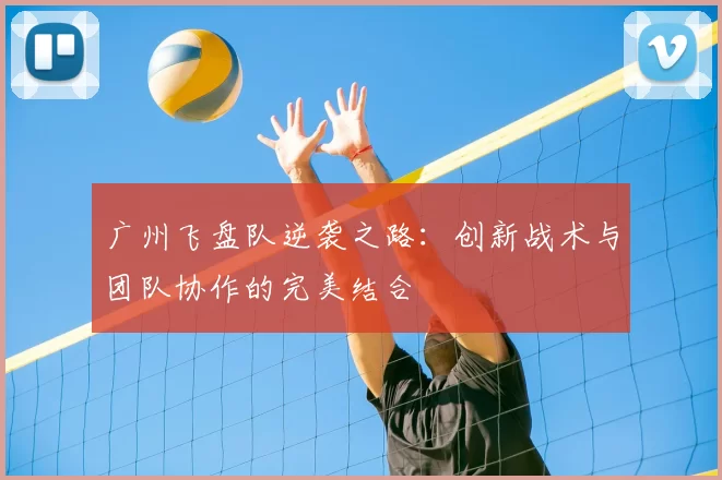 广州飞盘队逆袭之路：创新战术与团队协作的完美结合