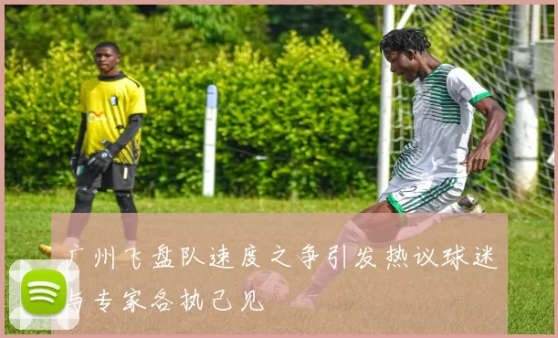 广州飞盘队速度之争引发热议球迷与专家各执己见